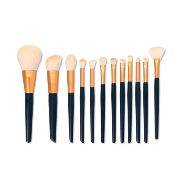 Star motion makeup brush set of 12